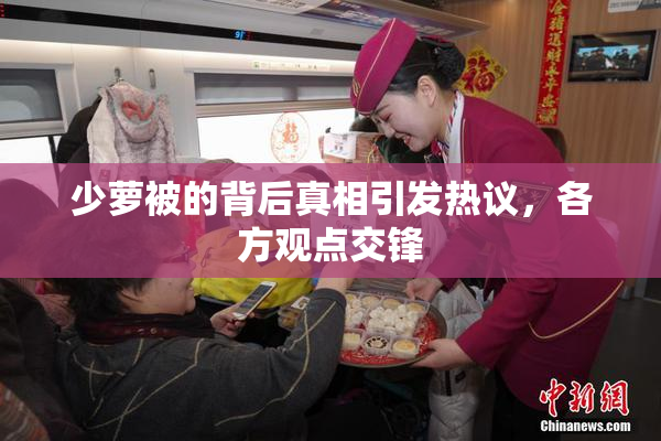 少萝被的背后真相引发热议，各方观点交锋