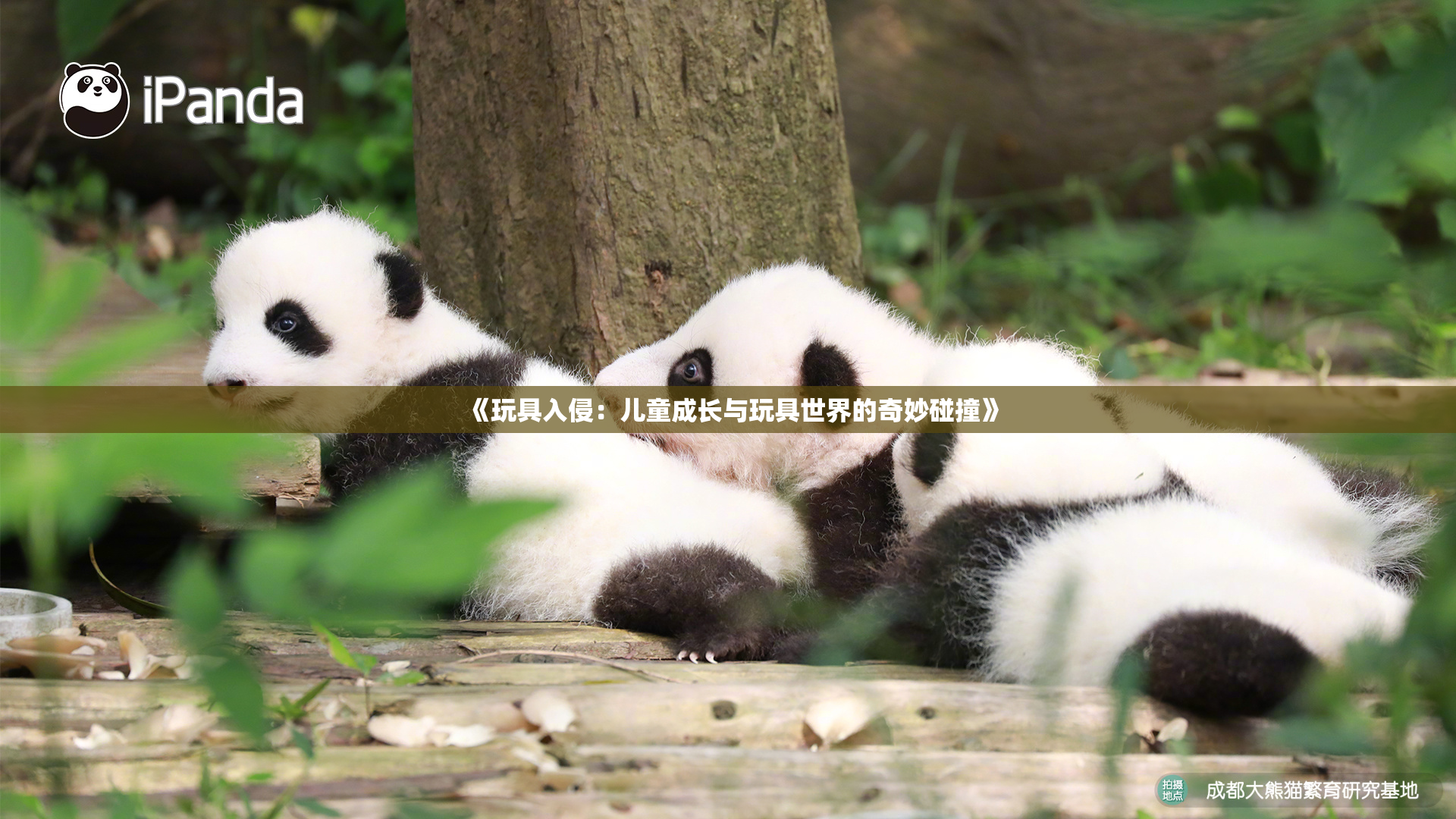 《玩具入侵：儿童成长与玩具世界的奇妙碰撞》