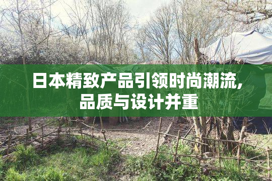 日本精致产品引领时尚潮流, 品质与设计并重