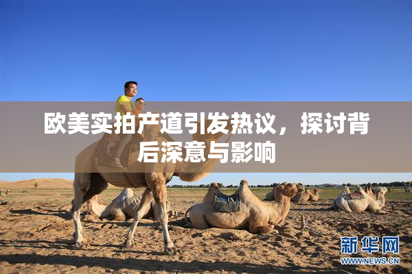 欧美实拍产道引发热议，探讨背后深意与影响