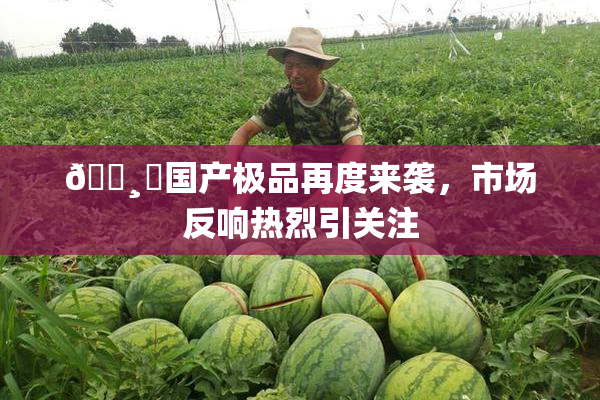 🌸‌国产极品再度来袭，市场反响热烈引关注