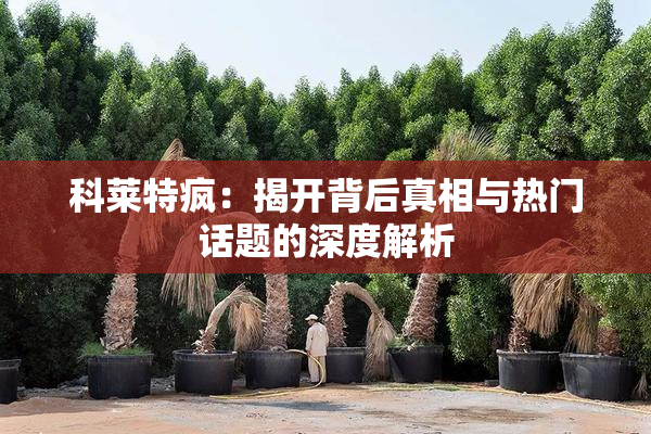 科莱特疯：揭开背后真相与热门话题的深度解析