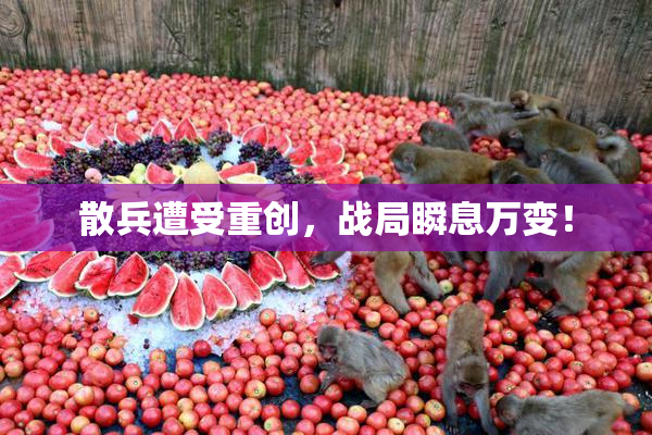 散兵遭受重创，战局瞬息万变！