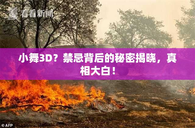 小舞3D？禁忌背后的秘密揭晓，真相大白！