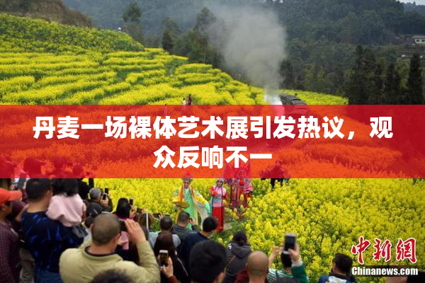 丹麦一场裸体艺术展引发热议，观众反响不一
