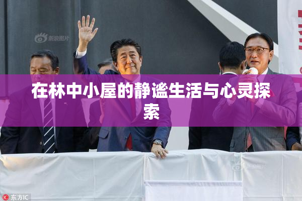 在林中小屋的静谧生活与心灵探索