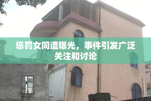 惩罚女同遭曝光，事件引发广泛关注和讨论