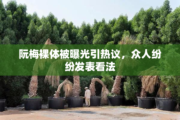 阮梅裸体被曝光引热议，众人纷纷发表看法