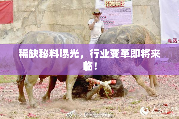 稀缺秘料曝光，行业变革即将来临！