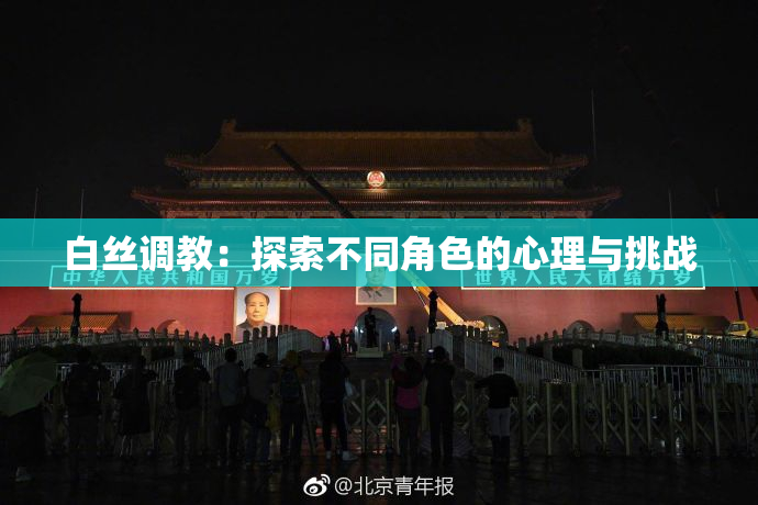 白丝调教：探索不同角色的心理与挑战