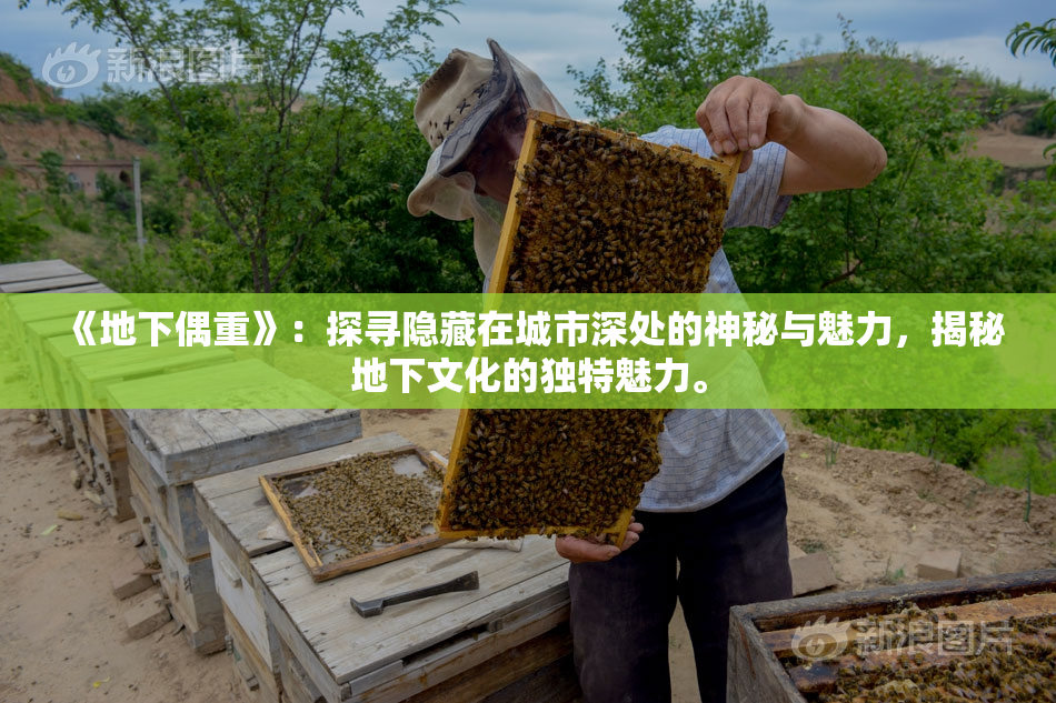 《地下偶重》：探寻隐藏在城市深处的神秘与魅力，揭秘地下文化的独特魅力。