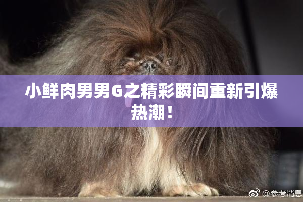 小鲜肉男男G之精彩瞬间重新引爆热潮！