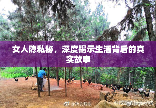 女人隐私秘，深度揭示生活背后的真实故事