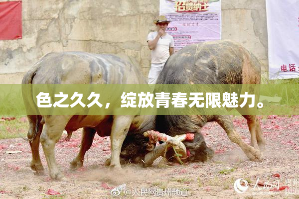 色之久久，绽放青春无限魅力。
