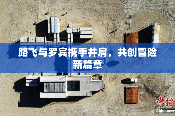 路飞与罗宾携手并肩，共创冒险新篇章
