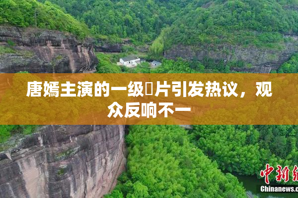唐嫣主演的一级婬片引发热议，观众反响不一