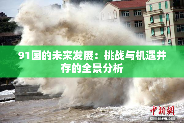 91国的未来发展：挑战与机遇并存的全景分析