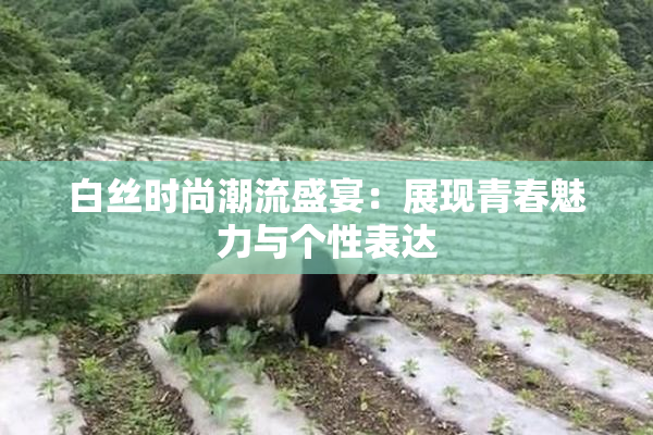 白丝时尚潮流盛宴：展现青春魅力与个性表达