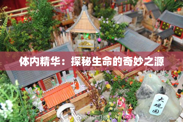 体内精华：探秘生命的奇妙之源