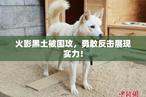 火影黑土被围攻，勇敢反击展现实力！