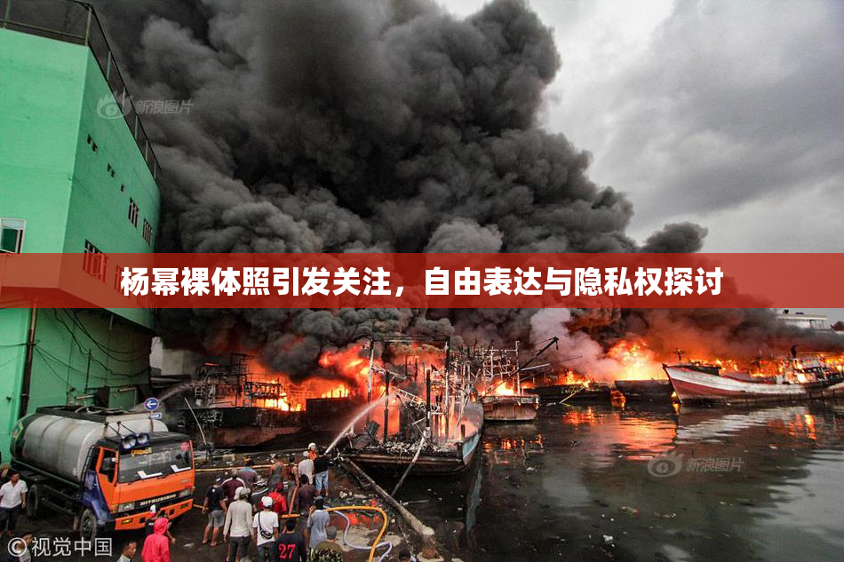 杨幂裸体照引发关注，自由表达与隐私权探讨