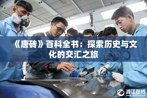 《唐砖》百科全书：探索历史与文化的交汇之旅
