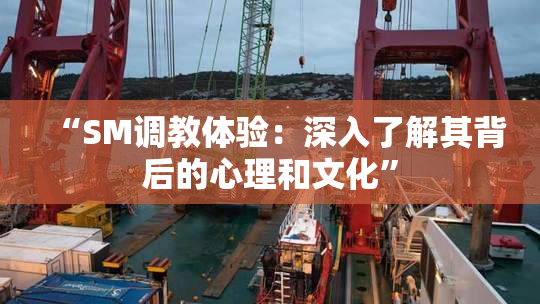 “SM调教体验：深入了解其背后的心理和文化”