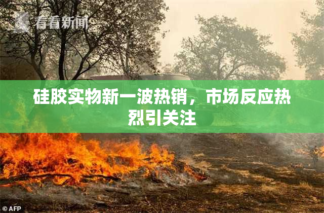 硅胶实物新一波热销，市场反应热烈引关注