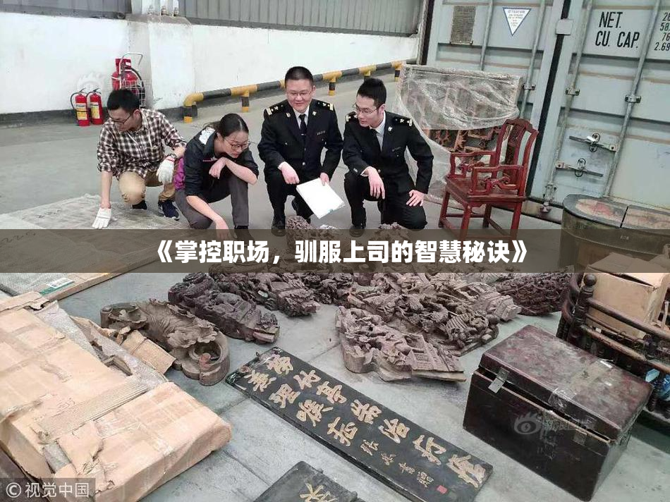 《掌控职场，驯服上司的智慧秘诀》