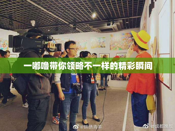一嘟噜带你领略不一样的精彩瞬间