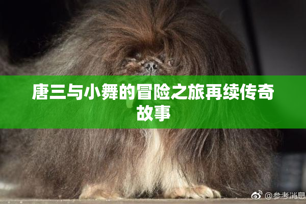 唐三与小舞的冒险之旅再续传奇故事