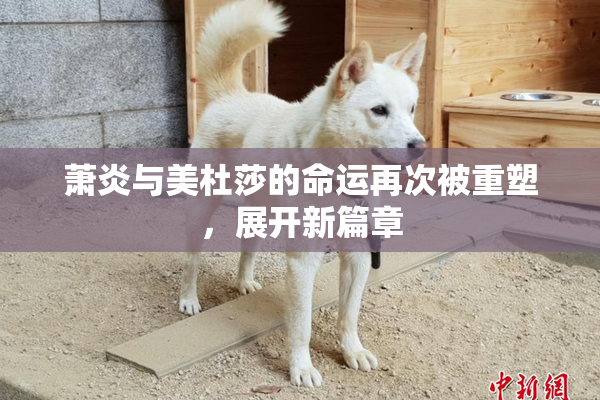 萧炎与美杜莎的命运再次被重塑，展开新篇章