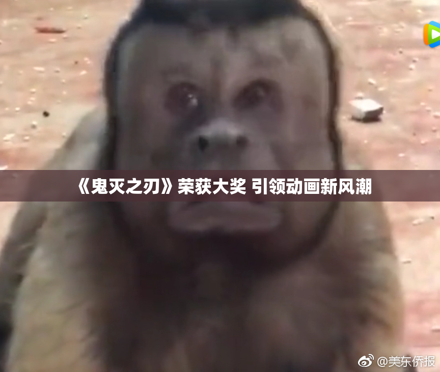 《鬼灭之刃》荣获大奖 引领动画新风潮