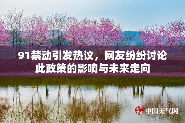 91禁动引发热议，网友纷纷讨论此政策的影响与未来走向