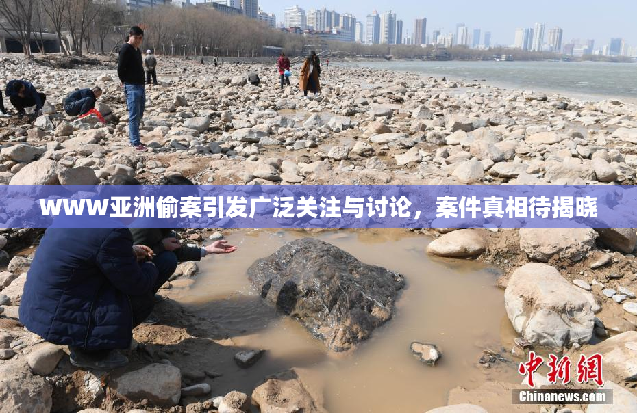 WWW亚洲偷案引发广泛关注与讨论，案件真相待揭晓