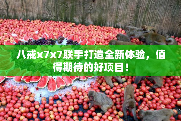 八戒x7x7联手打造全新体验，值得期待的好项目！