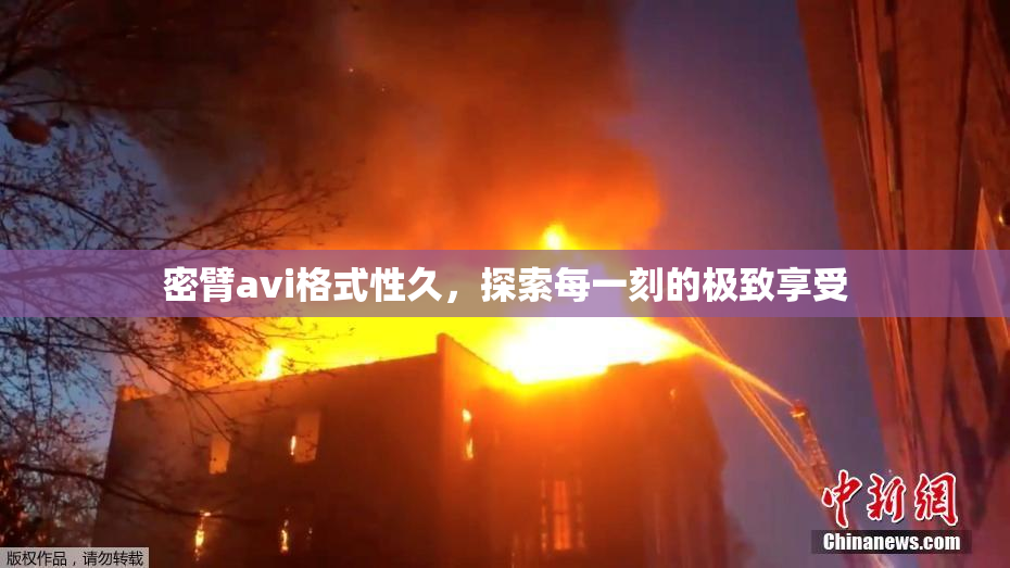 密臂avi格式性久，探索每一刻的极致享受