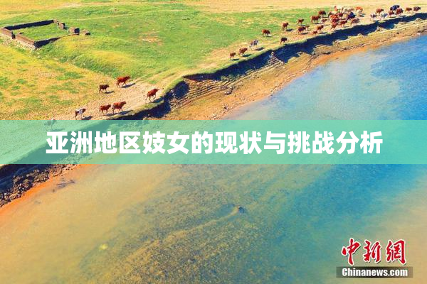 亚洲地区妓女的现状与挑战分析