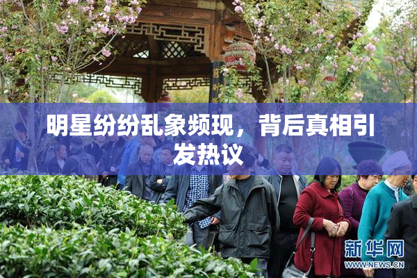 明星纷纷乱象频现，背后真相引发热议