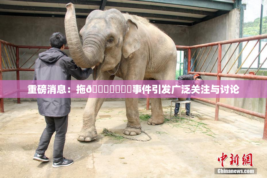 重磅消息：拖👙❌‌❌‌事件引发广泛关注与讨论