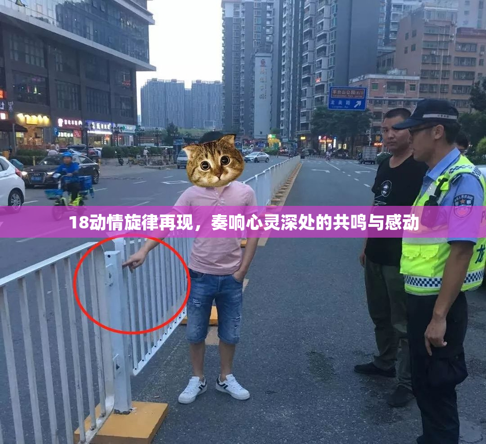 18动情旋律再现，奏响心灵深处的共鸣与感动