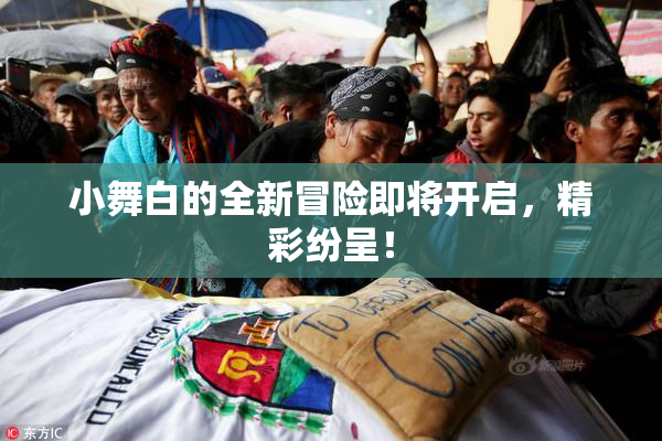 小舞白的全新冒险即将开启，精彩纷呈！