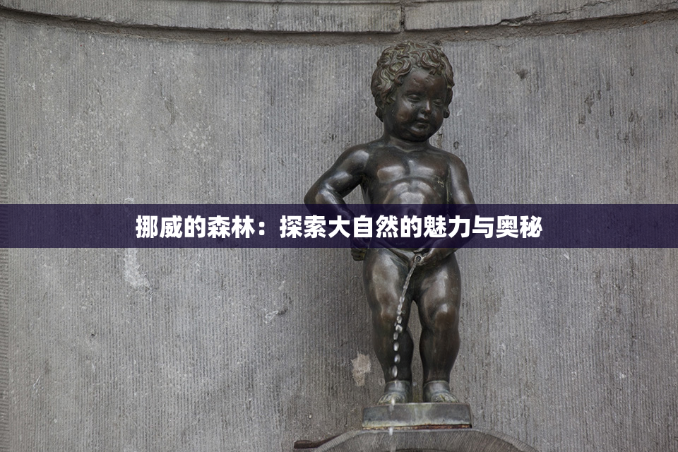 挪威的森林：探索大自然的魅力与奥秘