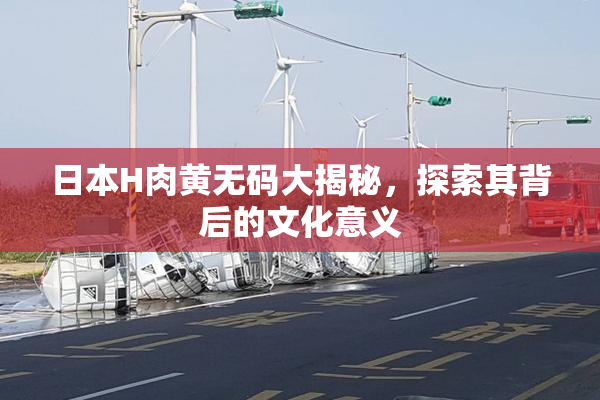 日本H肉黄无码大揭秘，探索其背后的文化意义