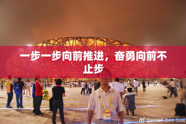 一步一步向前推进，奋勇向前不止步