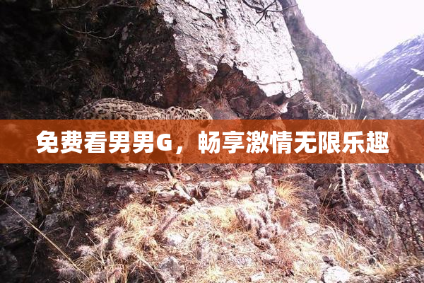 免费看男男G，畅享激情无限乐趣