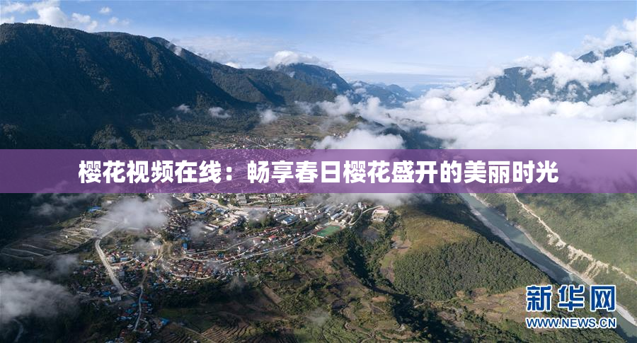 樱花视频在线：畅享春日樱花盛开的美丽时光