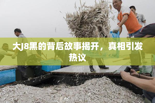 大J8黑的背后故事揭开，真相引发热议