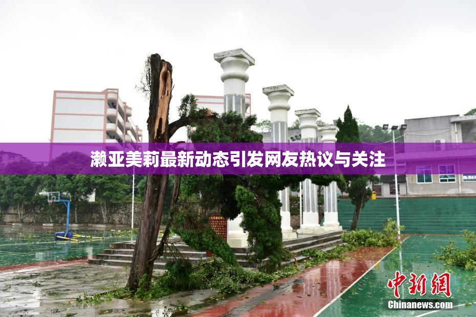 濑亚美莉最新动态引发网友热议与关注