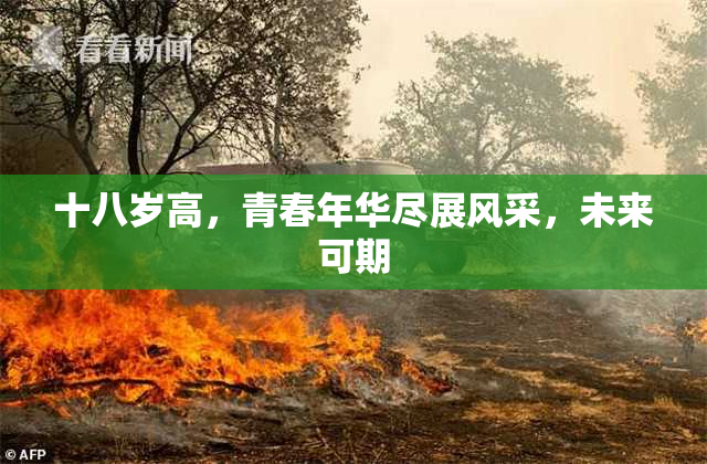 十八岁高，青春年华尽展风采，未来可期